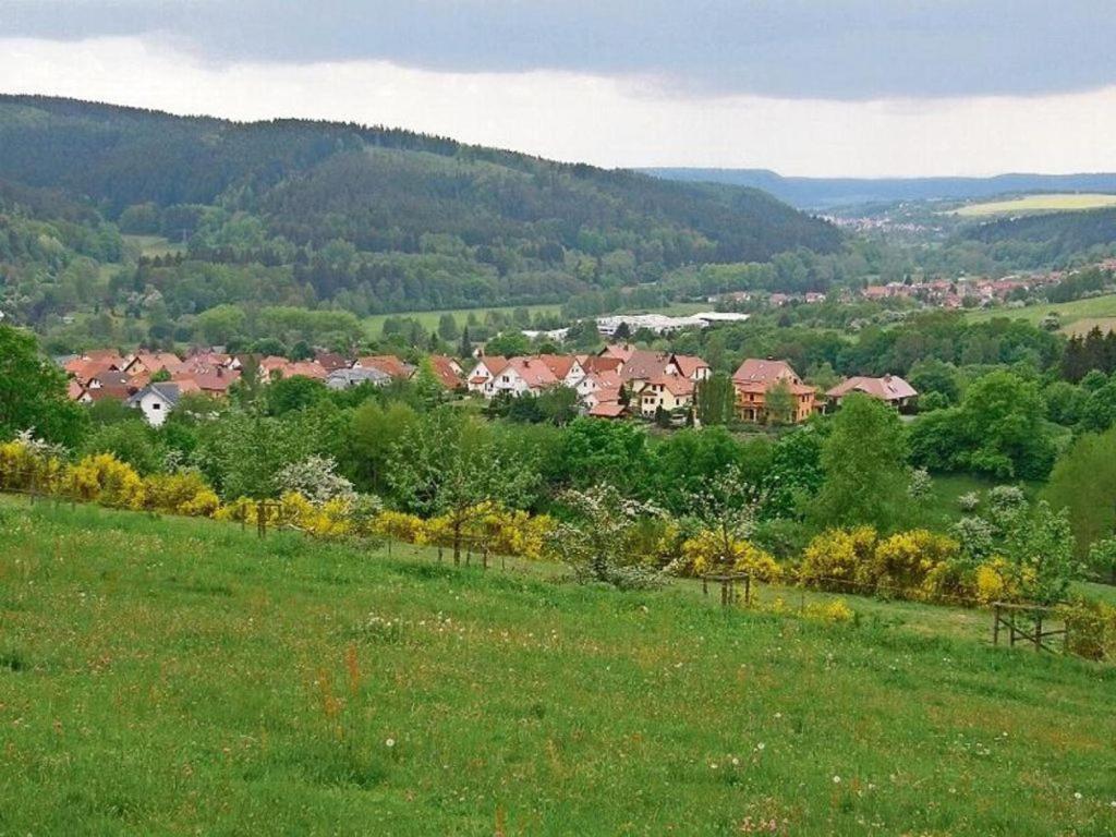 Gartenhaus - Dietzhaeuschen Suhl Buitenkant foto