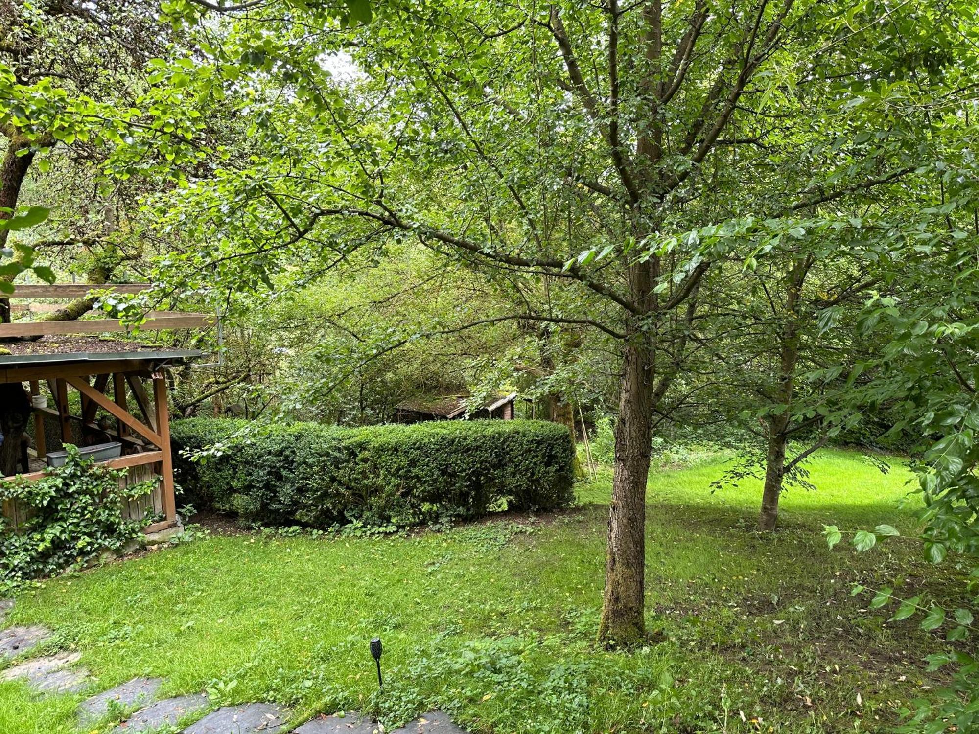 Gartenhaus - Dietzhaeuschen Suhl Buitenkant foto